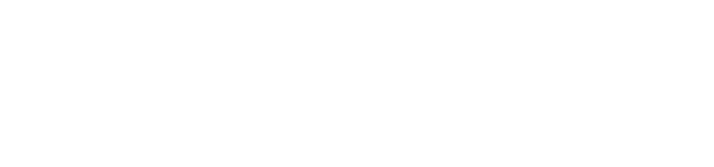 Avtobusni prevozi Si.Line